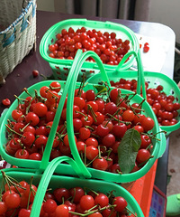 ϸժӣҡǶԼժ35һЩ20