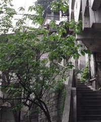 老街很老霓虹很艳 这里是渝中母城的挂壁老街燕子岩