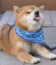 ��������С������������