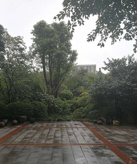 �ڿհ��ϴ������ʽ����ũ���ָ���ɡ�ɭ�֡�����ɫ���������