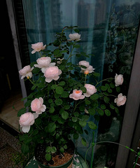 ��һ�������������˼��������