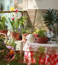 ҵľӵأ뻨Ӹպһ꣬С̨ı仯