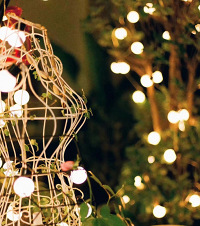 �ҵ��ľӵأ��뻨�Ӹպ�һ�꣬����С��̨�ı仯