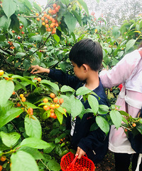 ժӣ��10Ԫһ��ĵط�