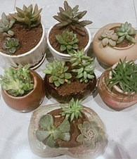 ��Щ����ֻҪ1��Ǯ