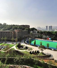 ˺ͽСѧСѧѡֵܱ֤ð