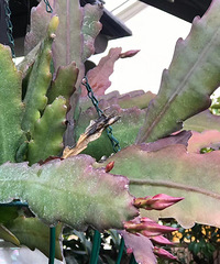 ������Ժ�������˻�����