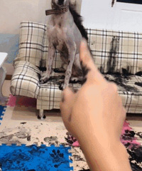 ����˵�Ҹò�����������