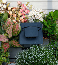 ҵ÷ŲˣһǸͯһĻ԰