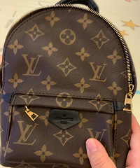 在微信上买的LV,入手价比原价便宜些,有点不太放心