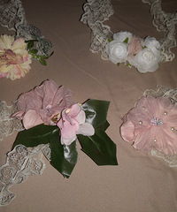 ������İ�������˺���Ϳں죬��������������