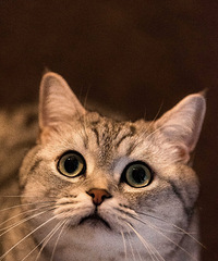 �����ĵ�һ��д�������