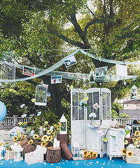 С������ɫ�λ� ����