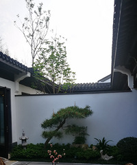 水土的平层院子别墅,一百二十平三房,只有一层,两百三十多万。