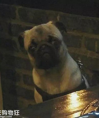 �ܿ����ܳԣ���ί������