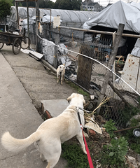 �Ҽҹ��Ӱ�����һֻ��