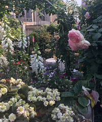 ���Ѽҵ�Ժ�Ӿ�ɫ���ȹ�԰