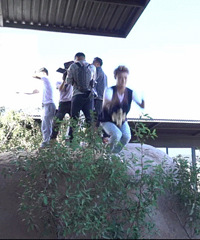 �������������¡��ĵ����к���