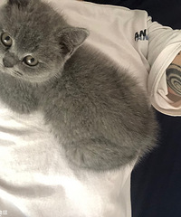 �ӽ��������м���