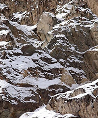 һ������ѩ���������