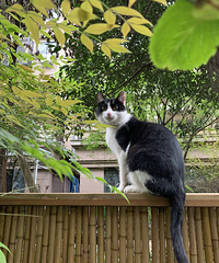 ÿ䶼Ƿ羰ѺСﶼҼҵԺ