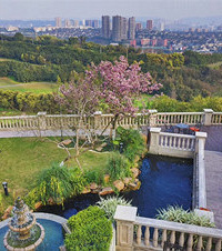 ߶+1500ƽ԰ϰ4һֲٳֵļ