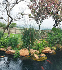 ߶+1500ƽ԰ϰ4һֲٳֵļ