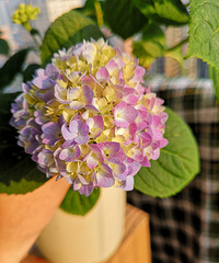 ���������죬����ĳ��ٻ���ȫ������