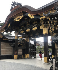 带着双胞胎去旅行之日本篇