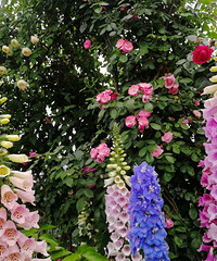 ���ս�����ʱ�����������ǵ�����С԰��������Ӱ����