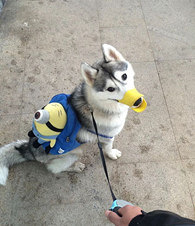 ������޹���ȷ�Ĵ򿪷�ʽ