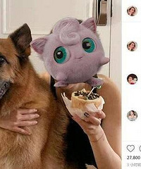 郑秀文为许志安爱犬庆生,和好了?