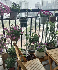 һС̨ȴפһ԰Σ̨ҲԺò