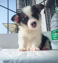 ��Ϊ�����գ���������ؼ�