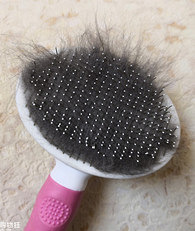 ����������Ҳ��ë����