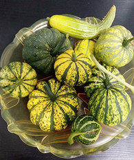 Ժ������Ϲ�����