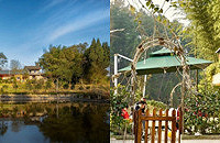 ʵũϼҸ죬ſھǴ