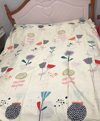 Ϊ׼˱Я˯һг̶˯Ķ