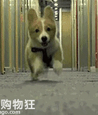 �����°�ʱ����