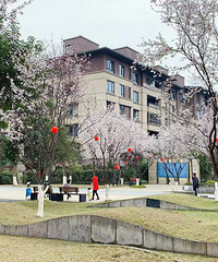 万科悦湾135平,说说装修路上遇到的那些坑