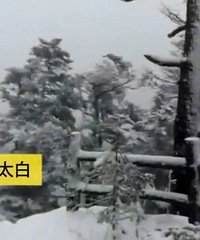 立夏还是立冬?全国多地出现5月飞雪