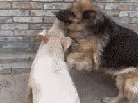 �������ڵ����������ˣ�