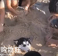 ƭ����ȥ�������˰�