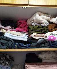 ��һ�����ҵİְ����裬�����������е�����