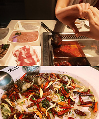 ����һ����绰���ܳ������ֻ�ͣ�������ɷѼ������ҳ�����