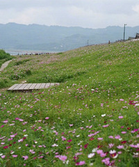 ����һ�����������ʺ�ȥ�Ļ�ɴ��ȡ��