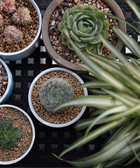 ɹı̨ƾһǻȰҲµĶ