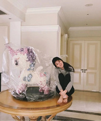 �����ı������ڣ�����ͣ�ɻ�