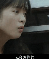 �����밲��Ӱ��;��ͬ���ݼ��Ա�