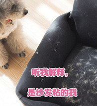 ��ҵ����ӵ�ë����